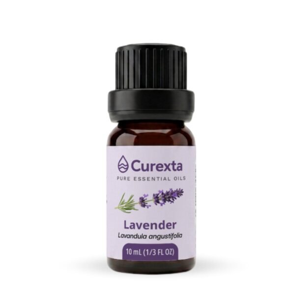 Lavender Essential Oil 10 ml