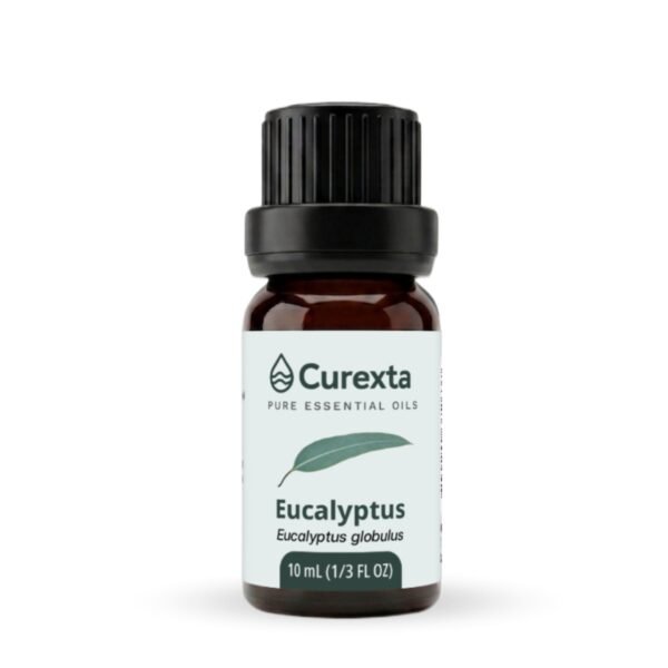 Eucalyptus Essential Oil 10 ml