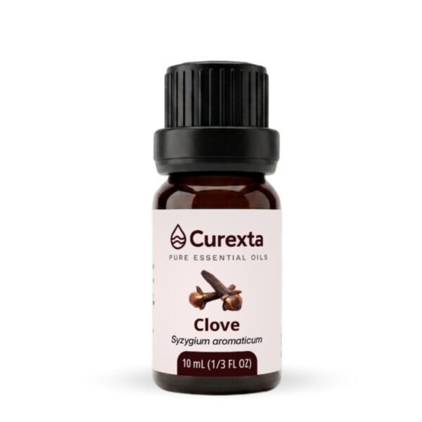 Clove Essential Oil - 10 ml